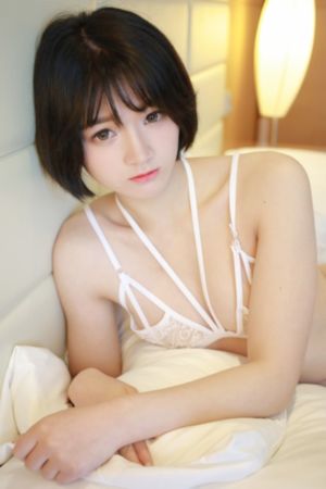 收税人_720免费播放