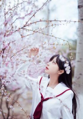 5号房视频_1080免费播放